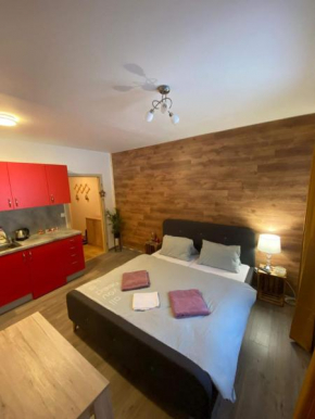 Terasy Apartmán se saunou Zelezná Ruda